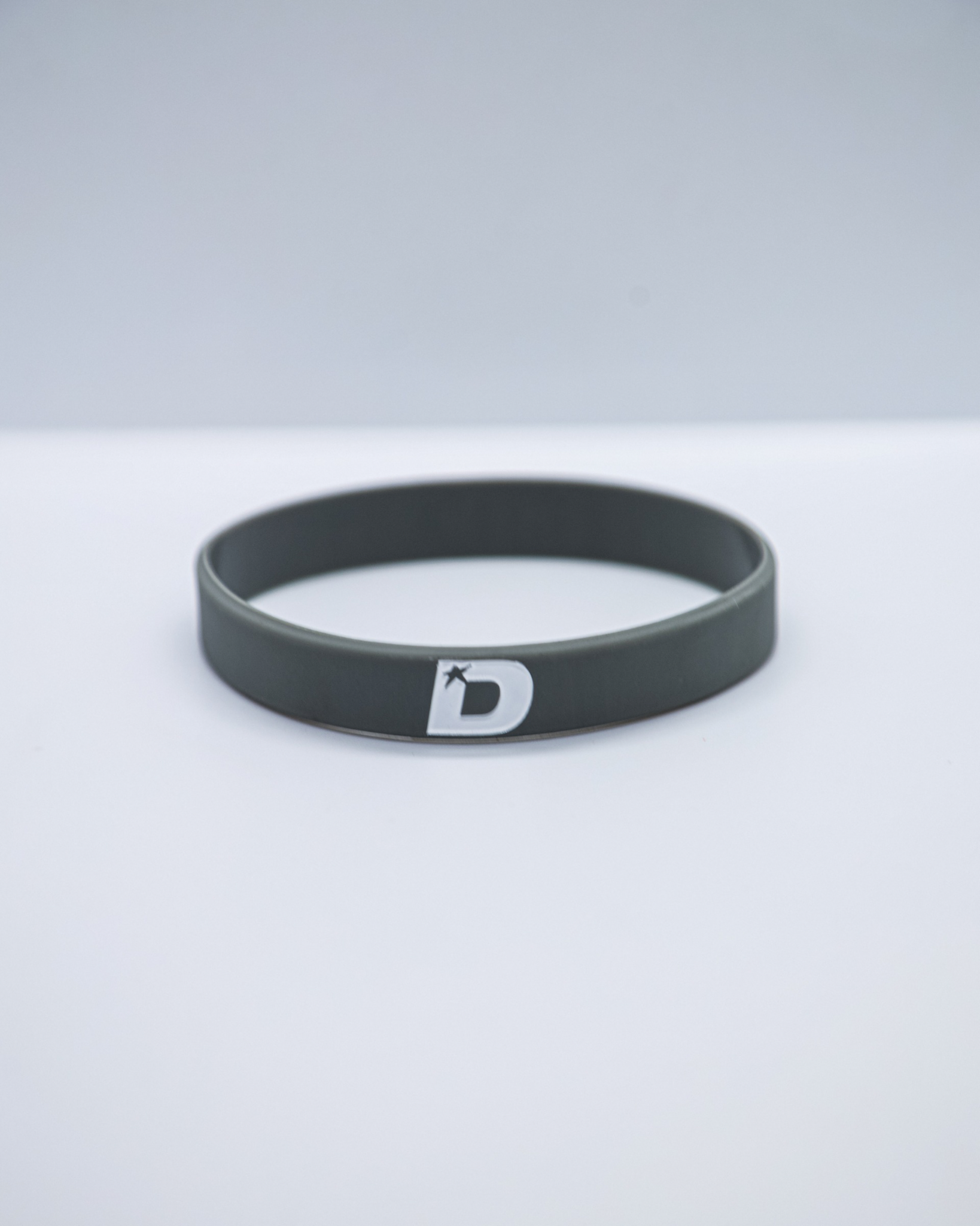 PROVE THEM WRONG Wristbands