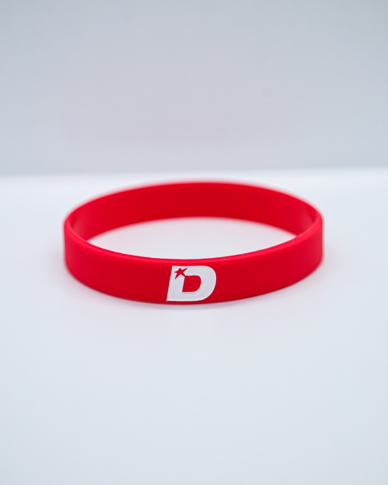 PROVE THEM WRONG Wristbands